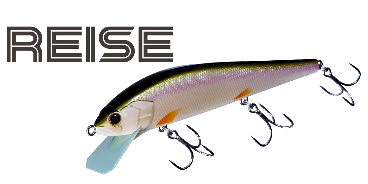 Reise 110hf