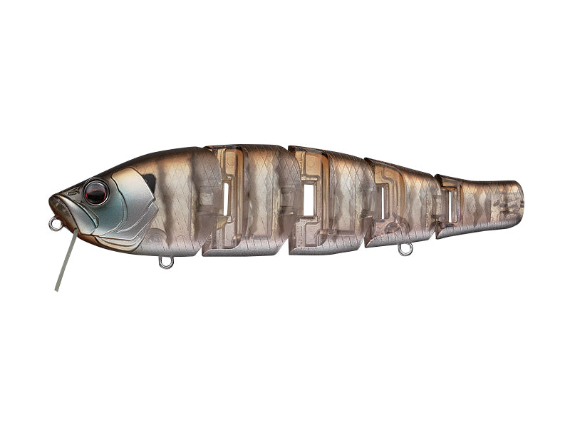 Royal Flash | #246 Chi Gill