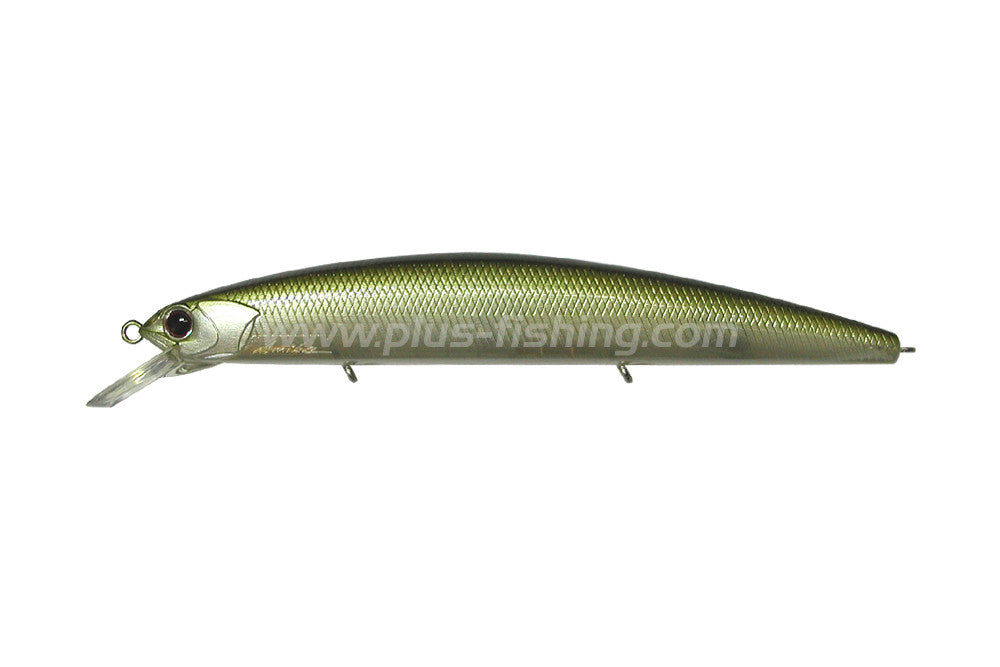 Rudra130 | F G01 - Ghost Minnow