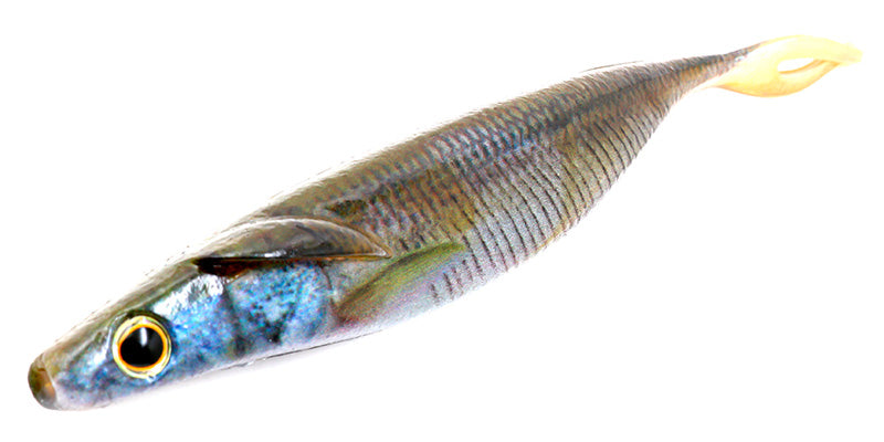 Sakamata Shad Real