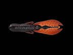 Sasuteki Craw | 4” Cola