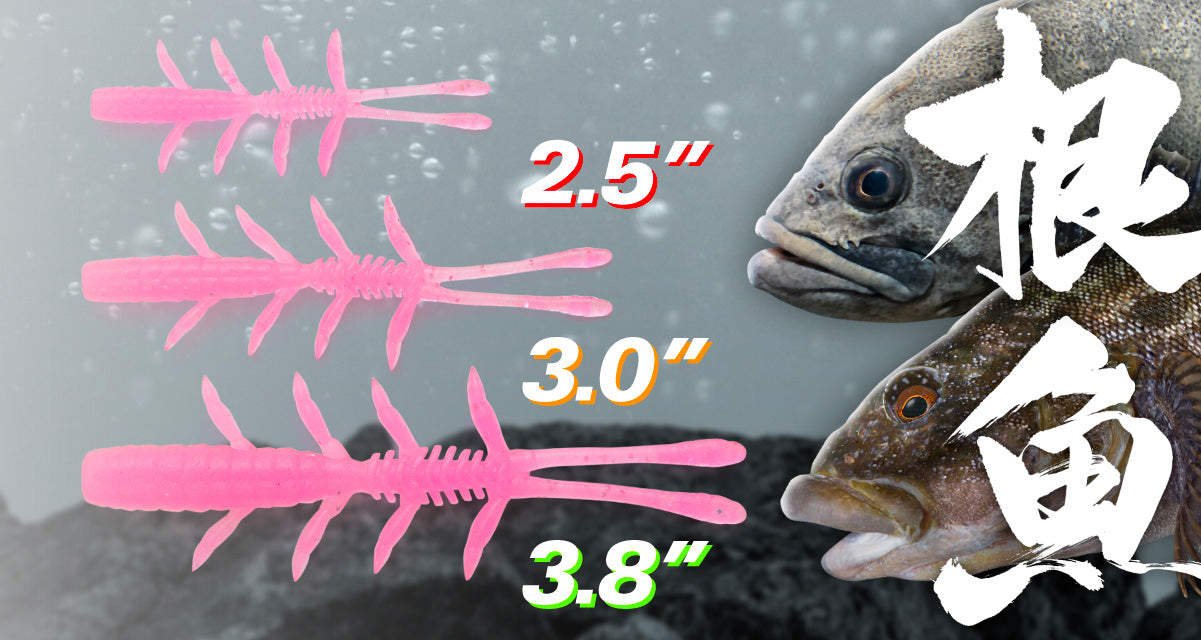 Scissor Comb Rockfish