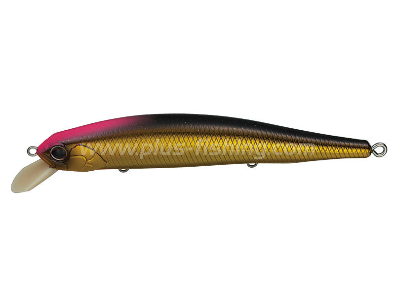 Side Step | 117f #n25 Kinkuro (gold Black)n