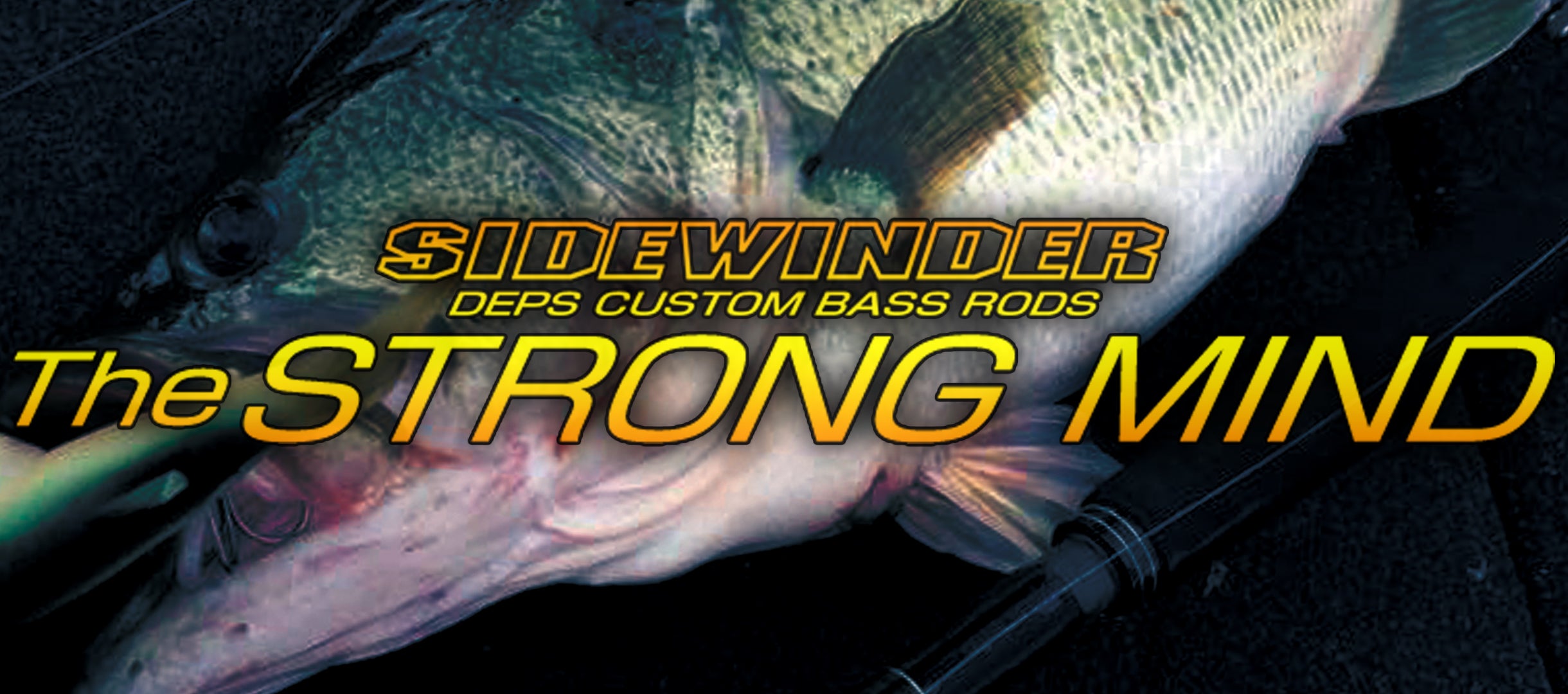 Sidewinder Strong Mind