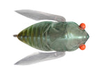 Siglett  | Lamune Bug