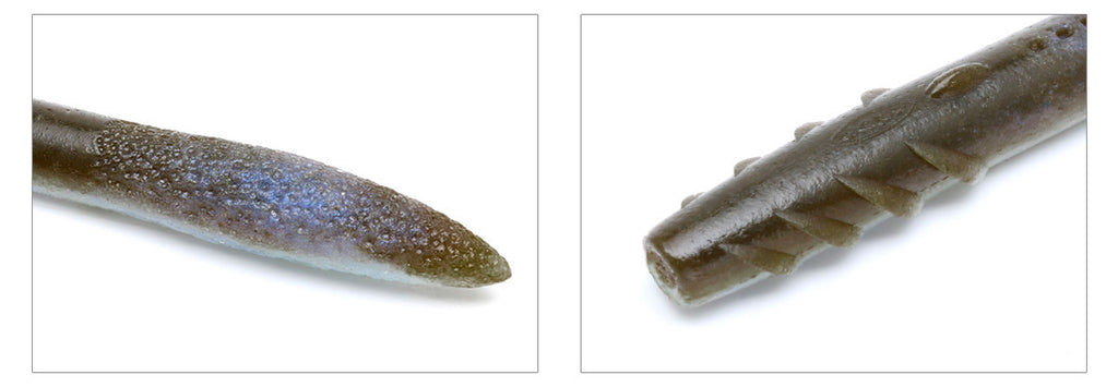 Slender Scat