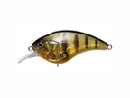 Sonic Side | Gp Pro Perch