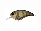 Sonic Side | Green Craw