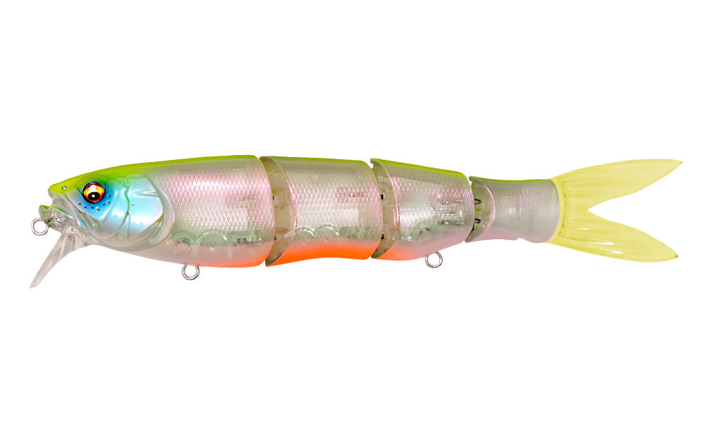 Spine-x 190f – Plus Fishing Store