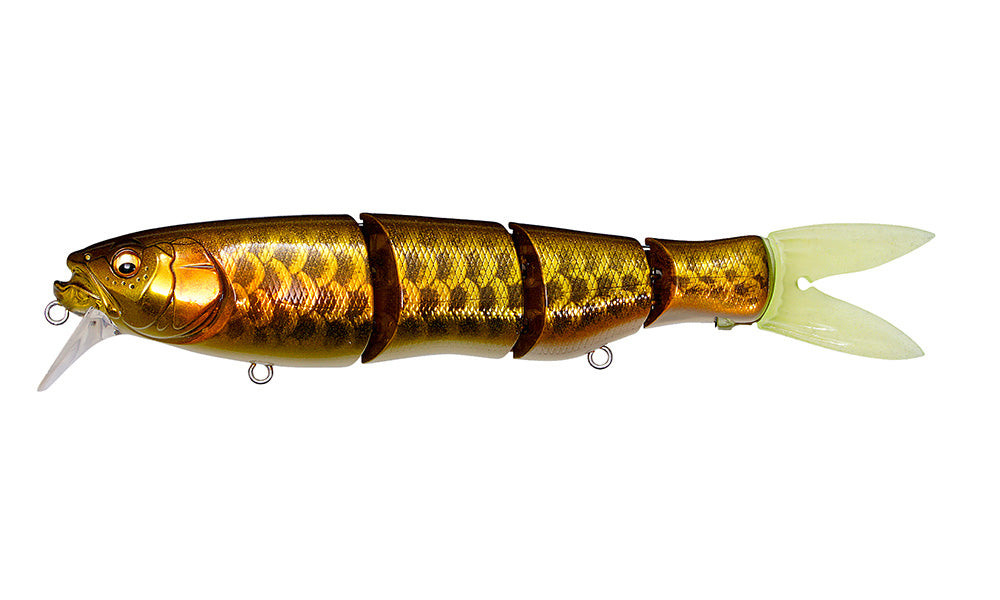spine-x-190f-dragon-fish-g-sp-