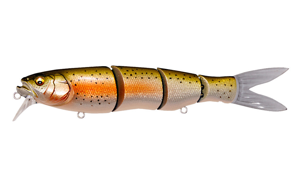 spine-x-190f-glx-rainbow-