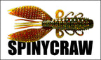 Spiny Craw