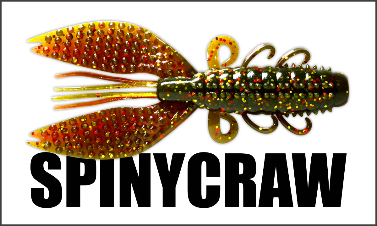 Spiny Craw