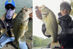 Stabil