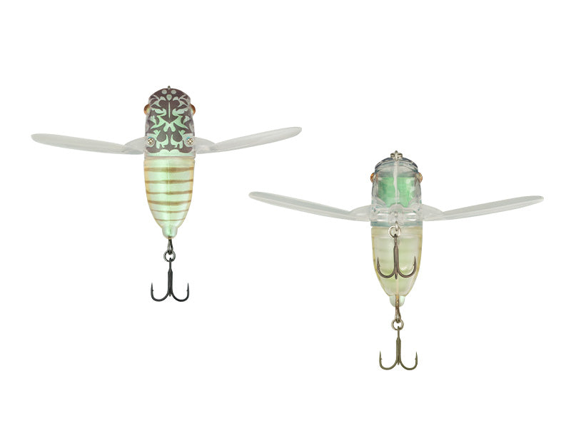 Suisen | Emergence Cicada