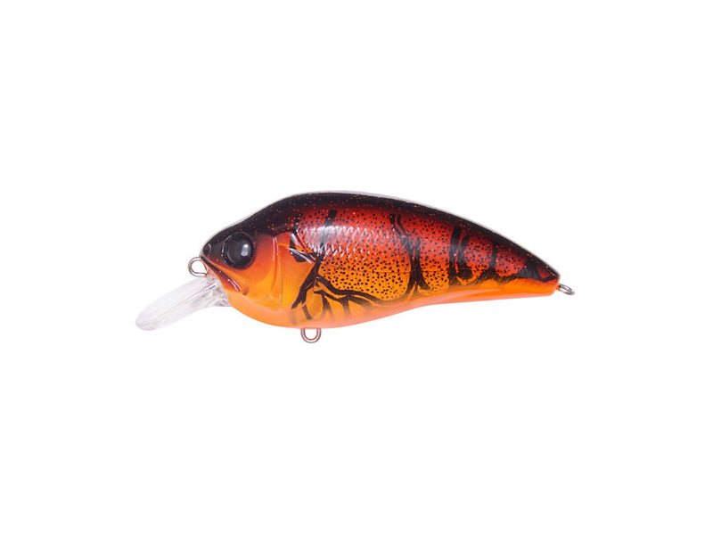 Super-z Z1 | Wild Craw