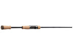 Symphonia Trout