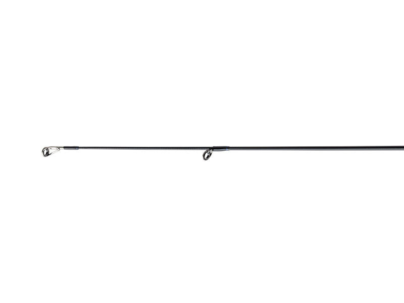 Symphonia Trout