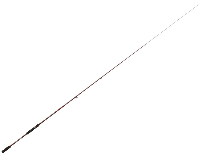 Tessyu