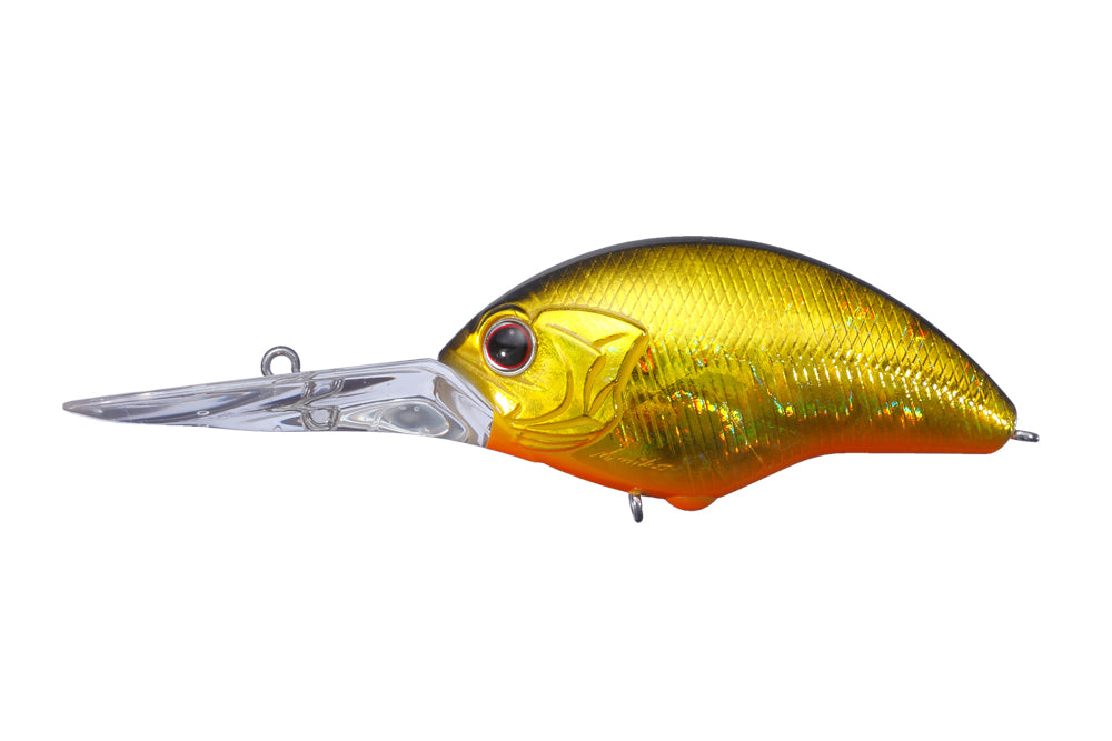 Tiny Blitz Dr (japan Color)  | H04 Black Gold Orange Belly