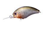 Tiny Blitz Dr (japan Color)  | M47 Mat Shad
