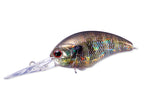 Tiny Blitz Dr (japan Color)  | Rp16 Real Gill Ver.2
