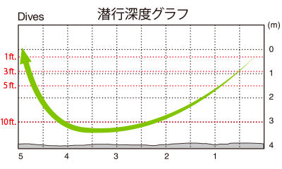 Tiny Blitz Dr (japan Color)
