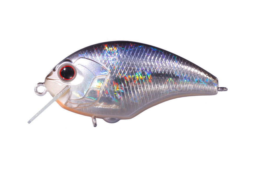 Tiny Blitz | H09 - Crystal Blue Shiner