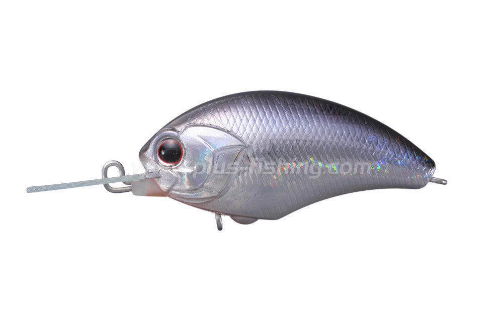 Tiny Blitz Mr | H09-crystal Blue Shiner