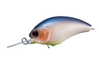 Tiny Blitz Mr (japan Color)  | F30 Blue Fish