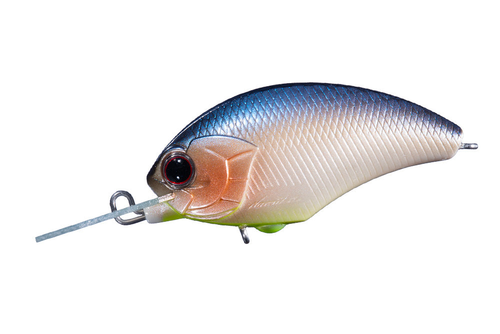 Tiny Blitz Mr (japan Color)  | F30 Blue Fish
