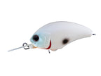 Tiny Blitz Mr (japan Color)  | F49 Impact White