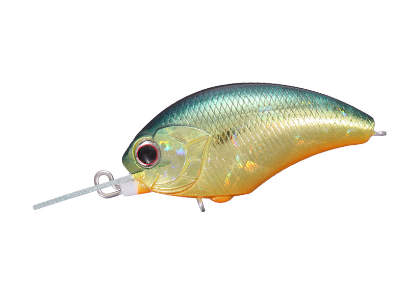 Tiny Blitz Mr (japan Color)  | H03 American Sunfish