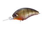 Tiny Blitz Mr (japan Color)  | L16 Dazzler Baby Gill