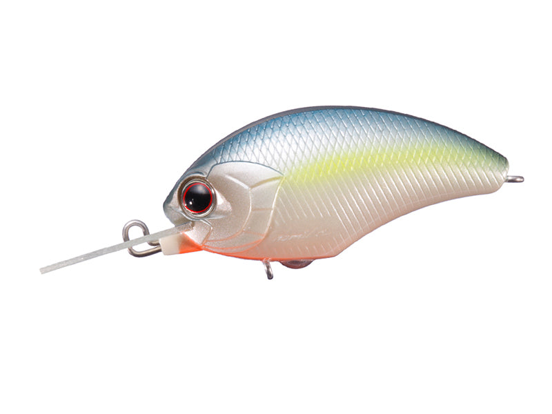 Tiny Blitz Mr (japan Color)  | Pb21 Sexy Shad Ver.2