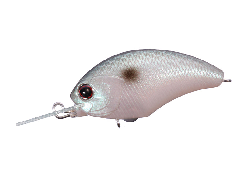 Tiny Blitz Mr (japan Color)  | Pp21 Jade Shad