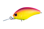 Tiny Blitz Mr (japan Color)  | Pp36 Pink Back Chart