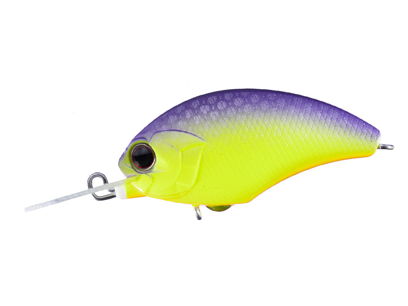 Tiny Blitz Mr (japan Color)  | Pp81 Chart Purple Back