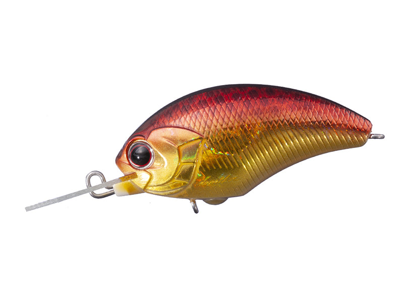 Tiny Blitz Mr (japan Color)  | Sh48 Gold Fire