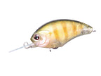 Tiny Blitz Mr (japan Color)  | Tg03 Tg Sunfish