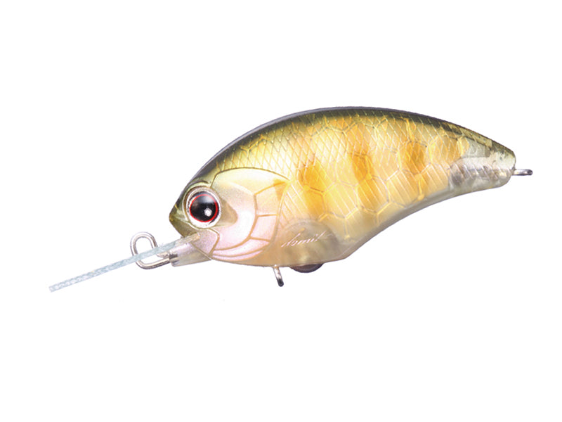 Tiny Blitz Mr (japan Color)  | Tg03 Tg Sunfish