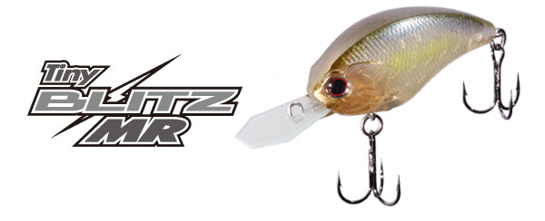 Tiny Blitz Mr (japan Color)