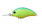 Tiny Blitz Mr | P07-chartreuse Blue Back