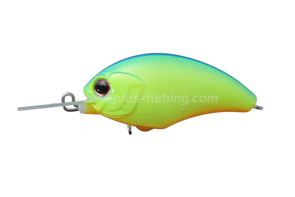 Tiny Blitz Mr | P07-chartreuse Blue Back