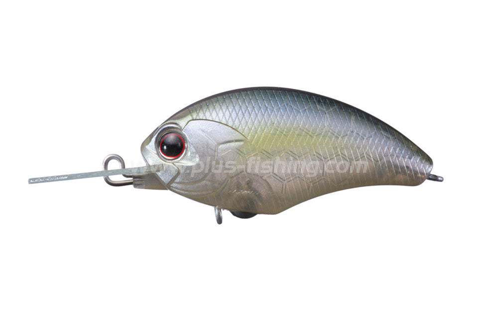 Tiny Blitz Mr | P23-tasty Shad