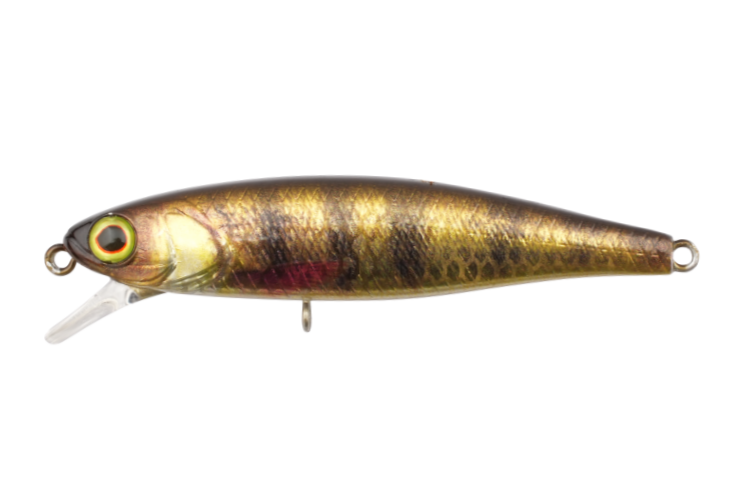 Tiny Fry | 65sp Rt Lively Perch