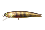 Tiny Fry | 65sp Rt Lively Perch