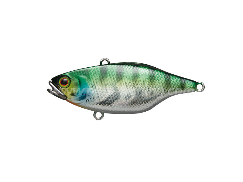 Tn50 | Hl Blue Gill