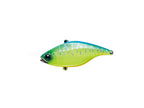Tn65 | Blue Back Tiger
