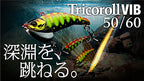 Tricoroll Gt